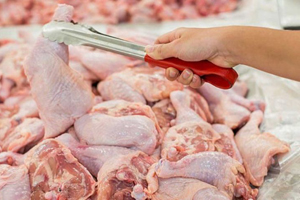  74.8درصد مردم در یک سال گذشته چند روز در هفته گوشت مرغ مصرف کرده اند